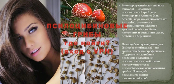 МДПВ Кукмор