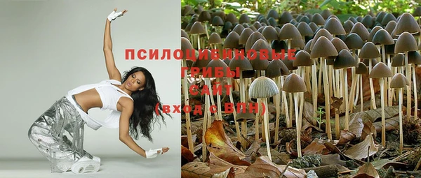 бутират Лабытнанги