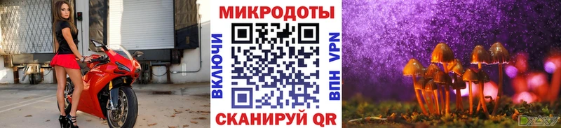 Псилоцибиновые грибы прущие грибы  Купить где  Орлов 